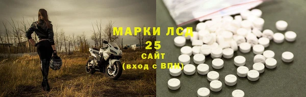индика Богданович