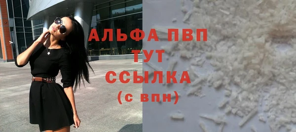 индика Богданович