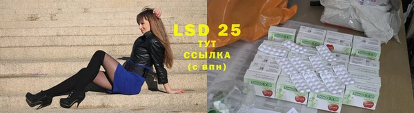 индика Богданович