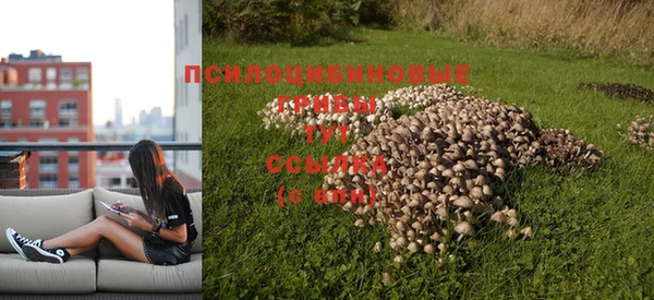мефедрон Богородск