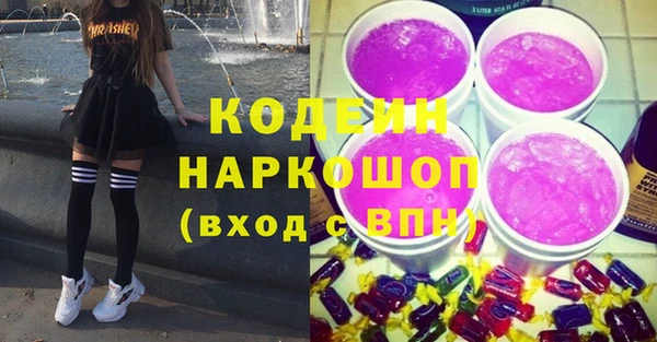 индика Богданович