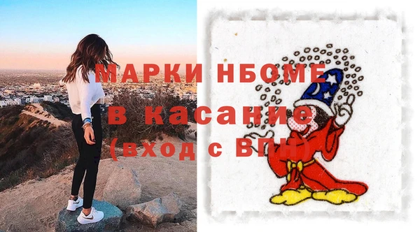 индика Богданович