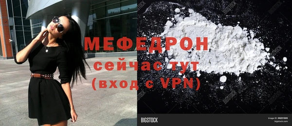 индика Богданович