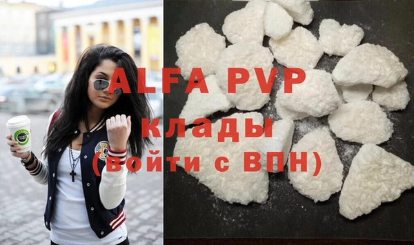 индика Богданович