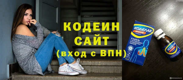индика Богданович