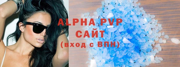 индика Богданович