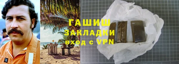 индика Богданович