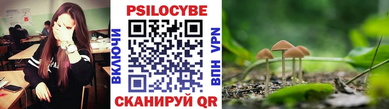 кракен ССЫЛКА  Игра  Псилоцибиновые грибы мицелий 
