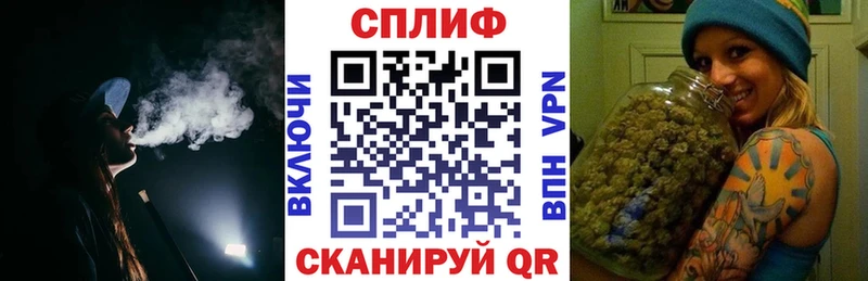 Бошки Шишки сатива  продажа наркотиков  Игра 